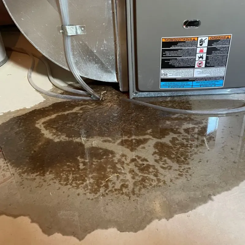 Pipe Burst and Leak Restoration in Hellertown, PA